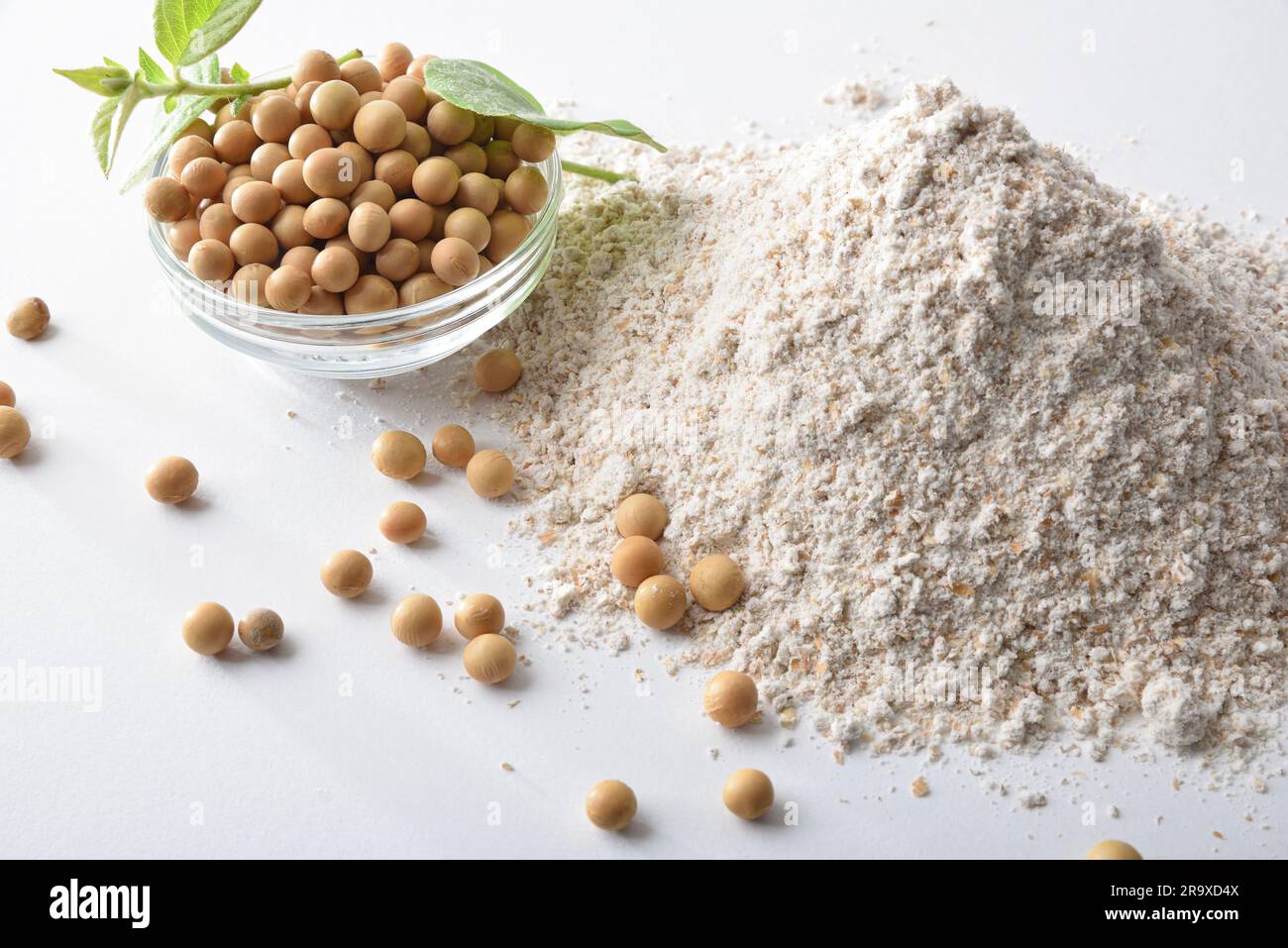 Detail of whole and refined soybean flour on white kitchen bench with
