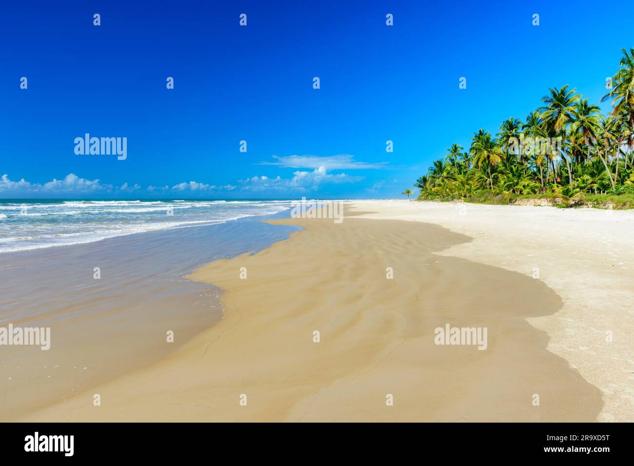 Tropical beach with coconut trees next to the sea and sand in Serra Grande on the coast of Bahia Stock Photo