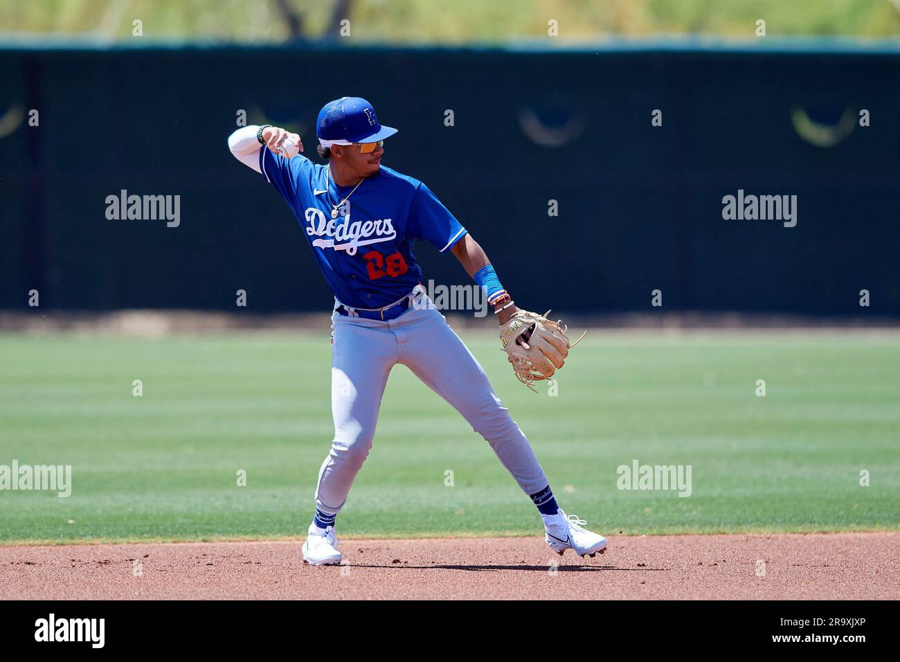 Los Angeles Dodgers second baseman Jeral Perez (28) during an extended