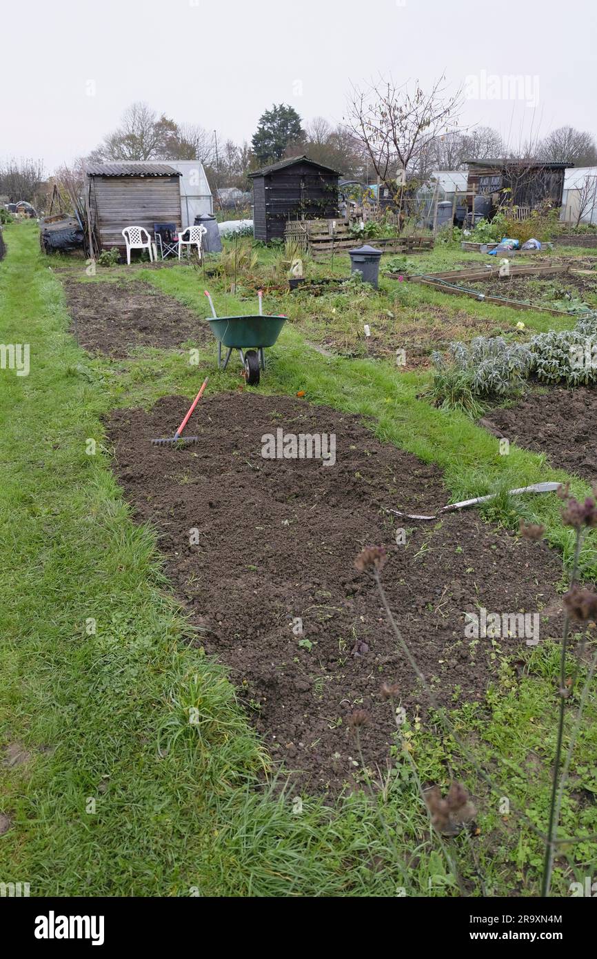 Freshly tilled bed on allotment in late autumn Stock Photo
