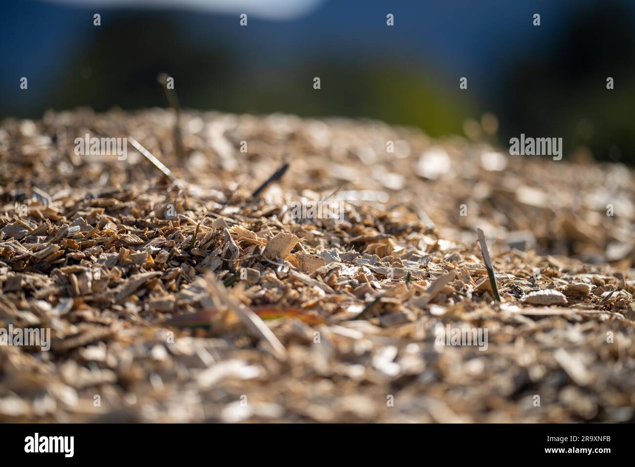 Compost pile, organic thermophilic compost turning in Tasmania ...