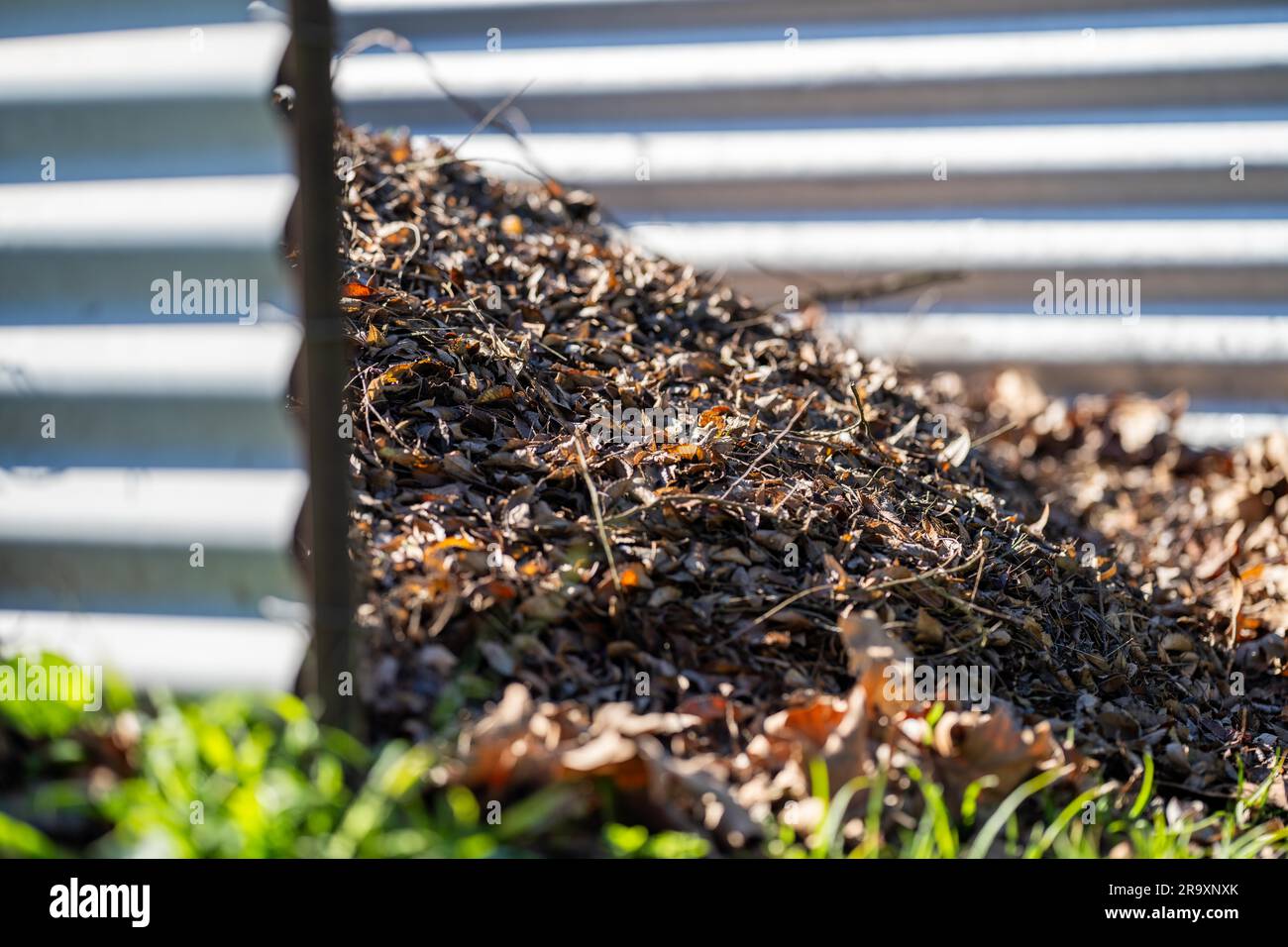 Compost pile, organic thermophilic compost turning in Tasmania