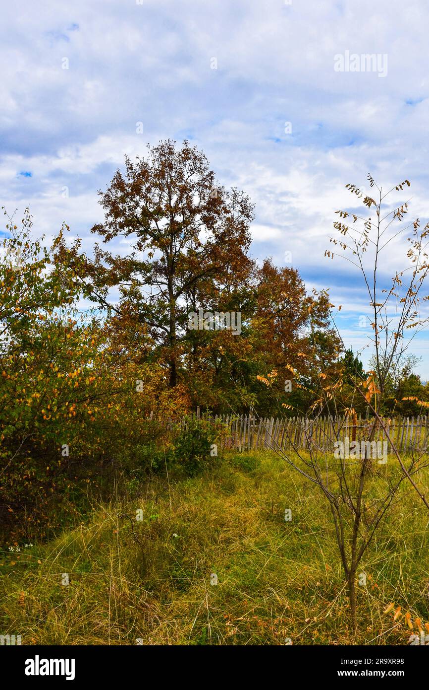 Old wooden fence of a village estate Stock Photo - Alamy