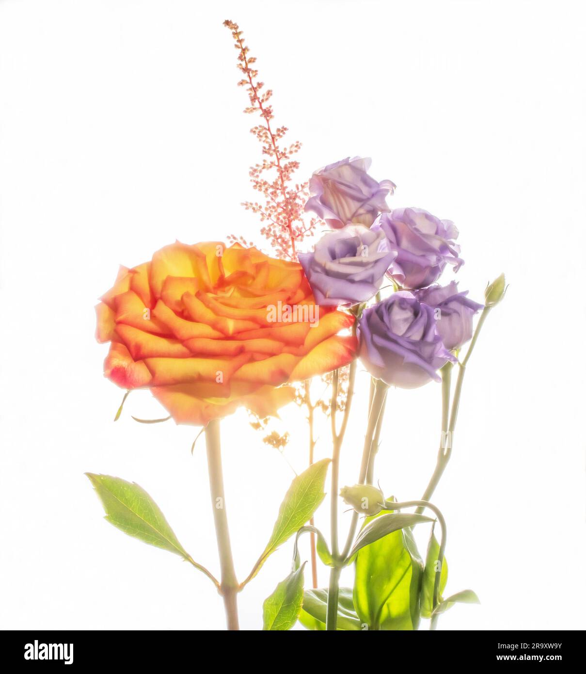 Tall Flower Arrangement Hi res Stock Photography And Images Alamy tall-flower-arrangement-hi-res-stock-photography-and-images-alamy
