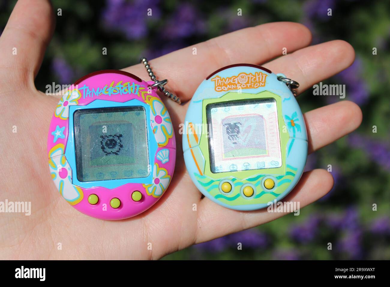Two handheld tamagotchi devices, with pink and blue-green designs. Stock Photo