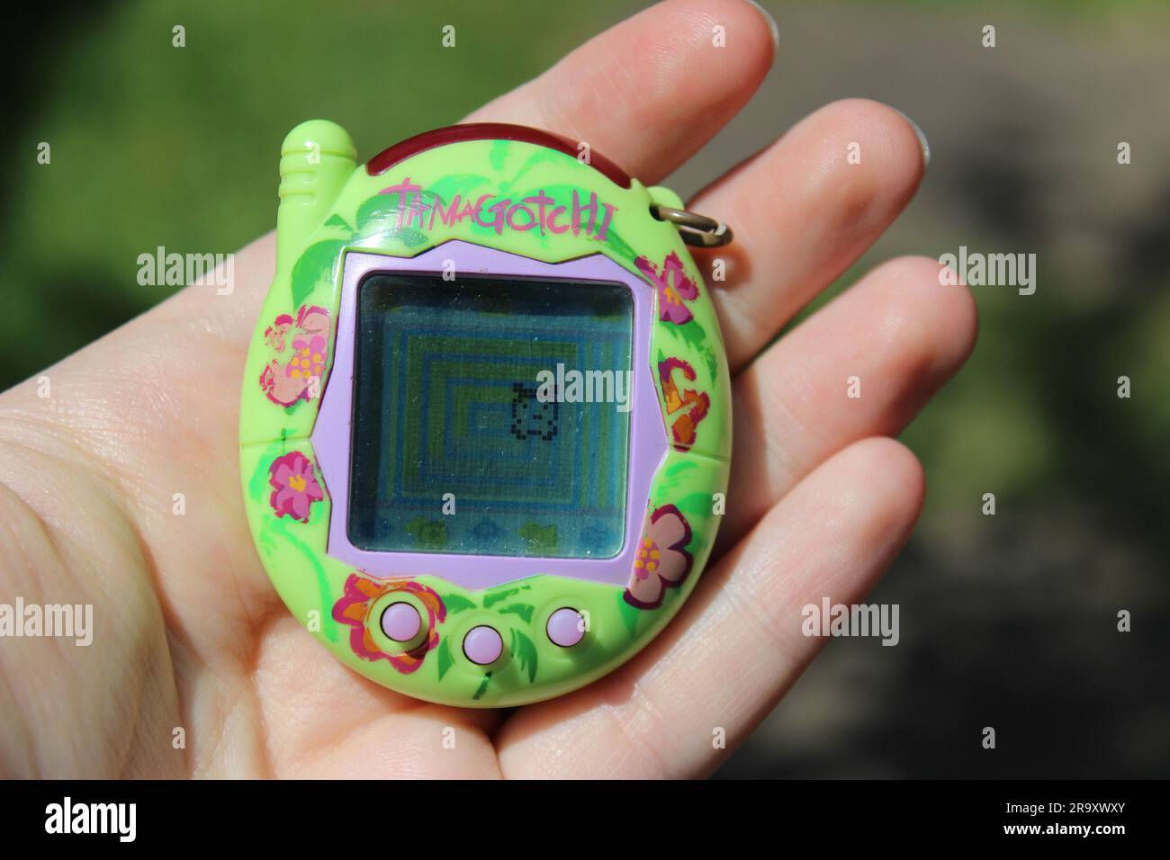 Photo depicting a tamagotchi device, green with tropical flowers, held in someone's hand. Stock Photo