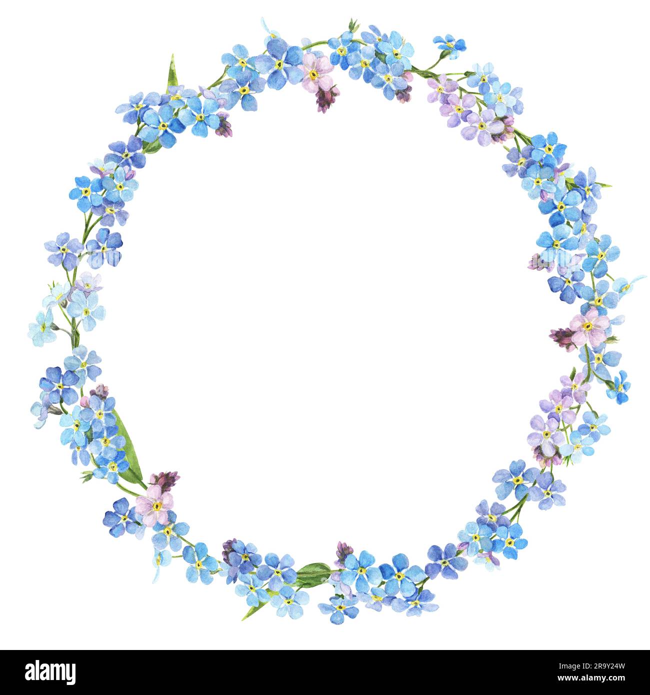 Watercolor wreath with forget me nots, botanical illustration Stock