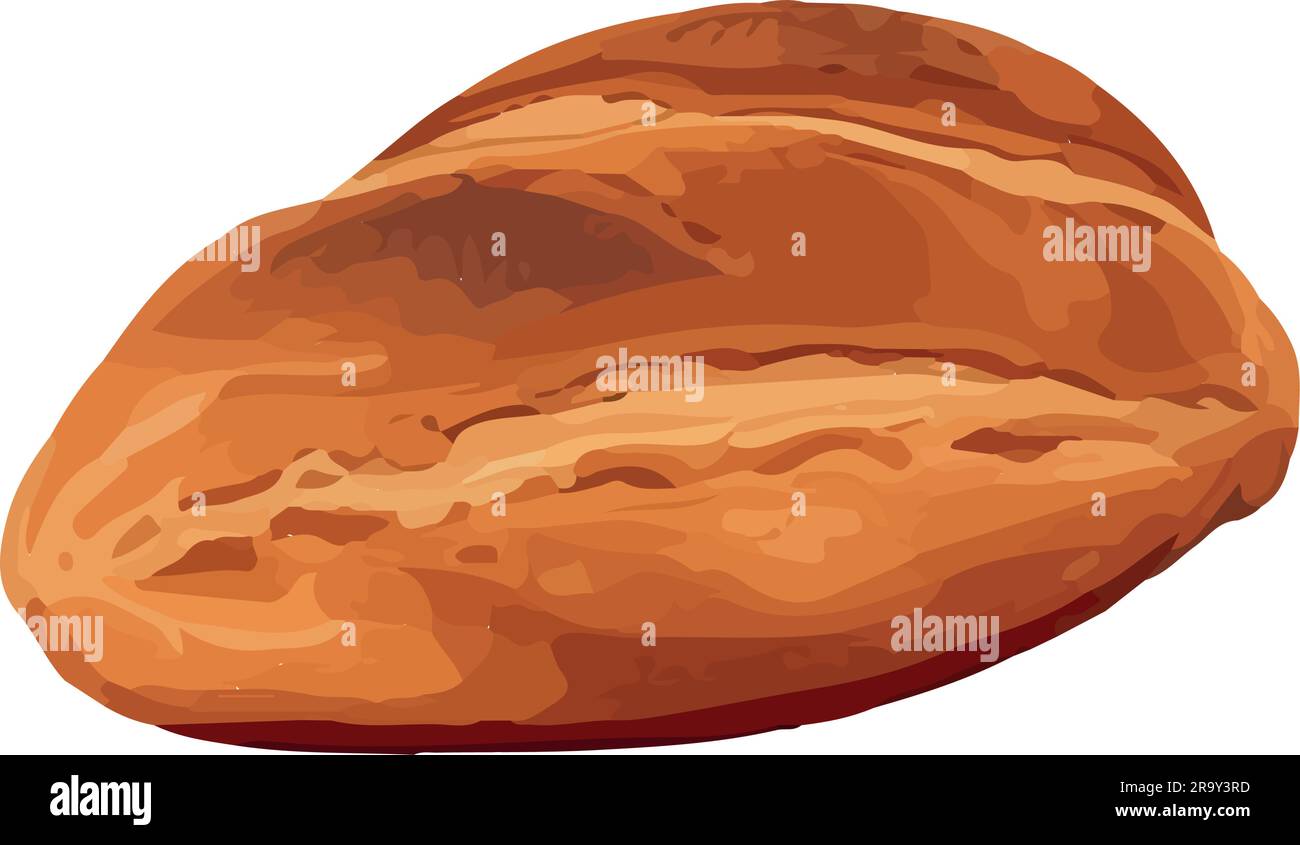 Fresh organic bread snack, close up illustration Stock Vector Image ...