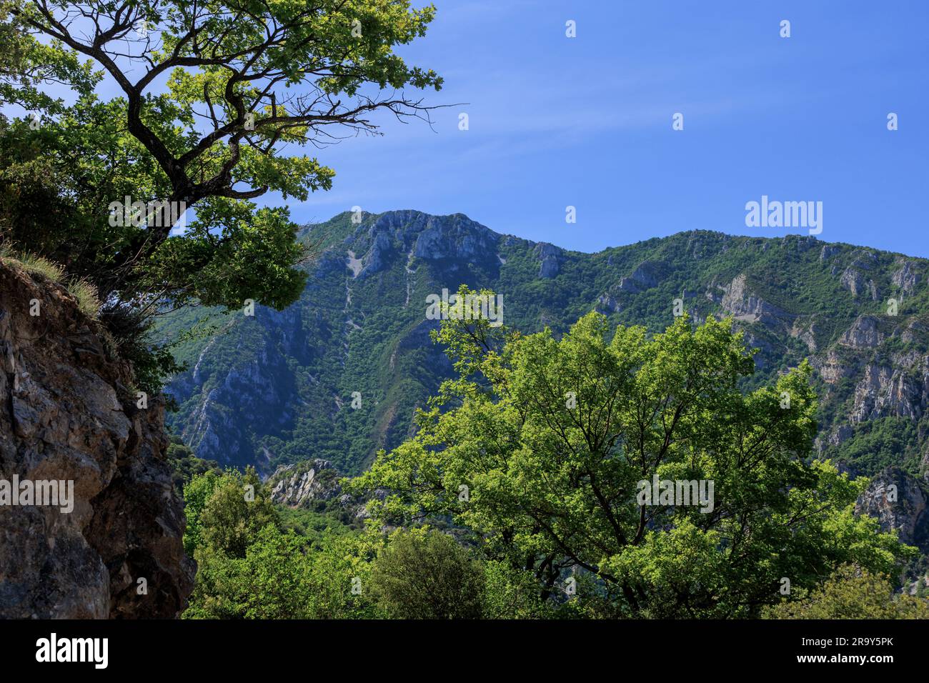 Verdon Gorge Var Alpes-de-Haute-Provence Provence-Alpes-Cote d'Azur France Stock Photo