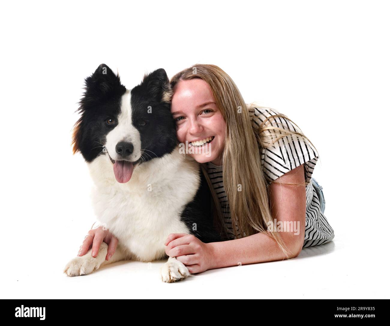 Finnish Lapphund and woman in front of white background Stock Photo