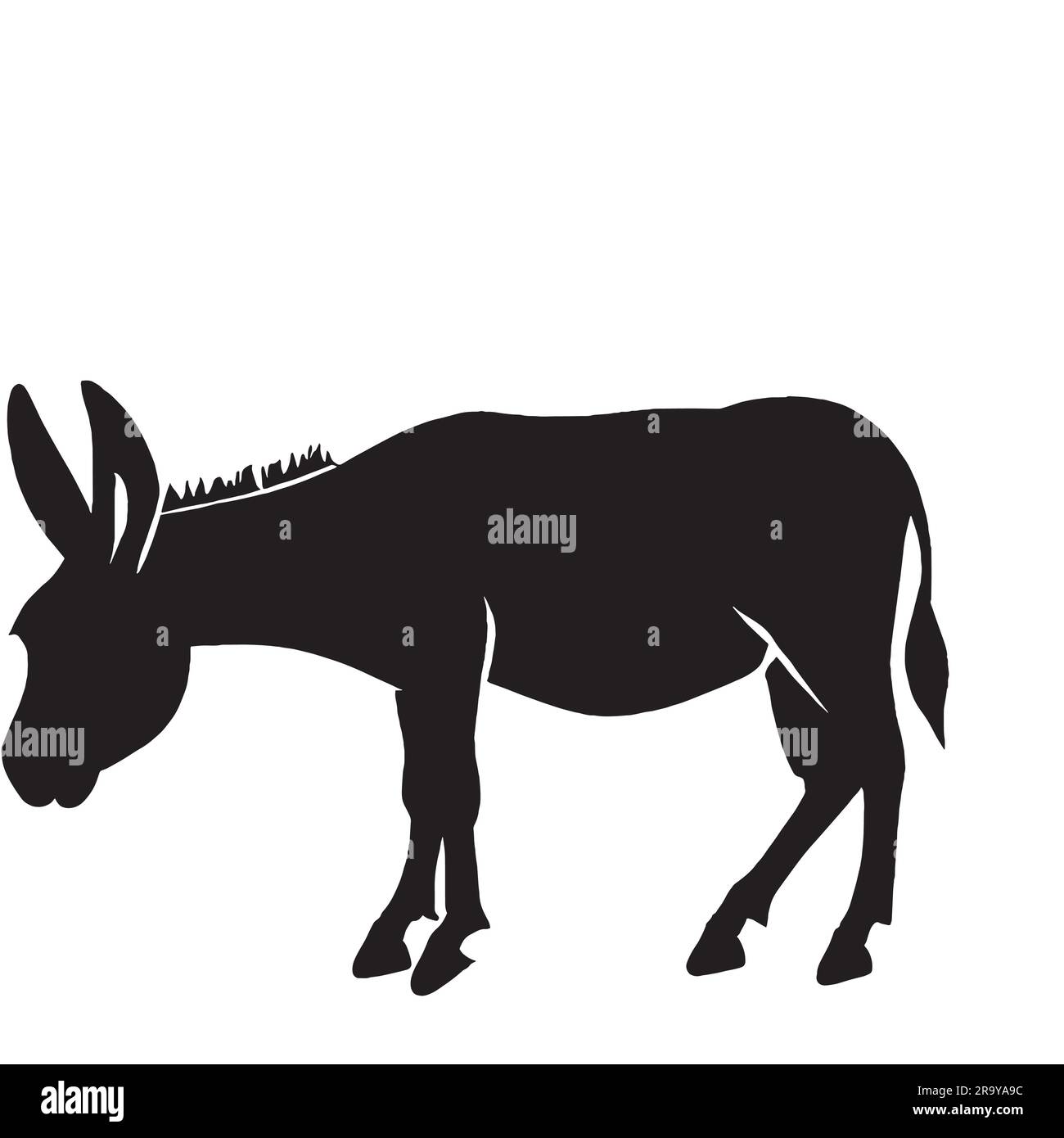 Zebra donkey Stock Vector Images - Alamy