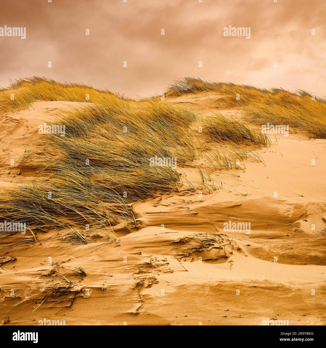 Mars-like sand dunes Stock Photo