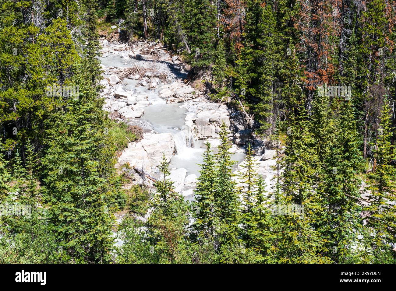 River Pool Ice River cascades through pools in rocks, Icefields Parkway, Canada Stock ...