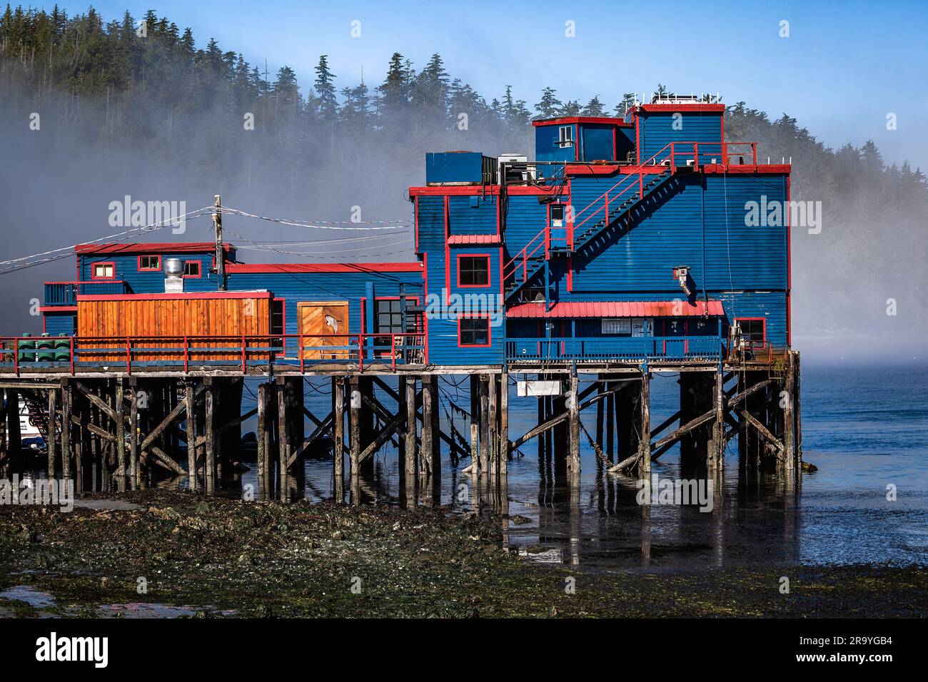 Ice House - Oyster Bar. Tofino is a district municipality of Canada, located on Vancouver Island in British Columbia, in the Alberni - Clayoquot Regio Stock Photo