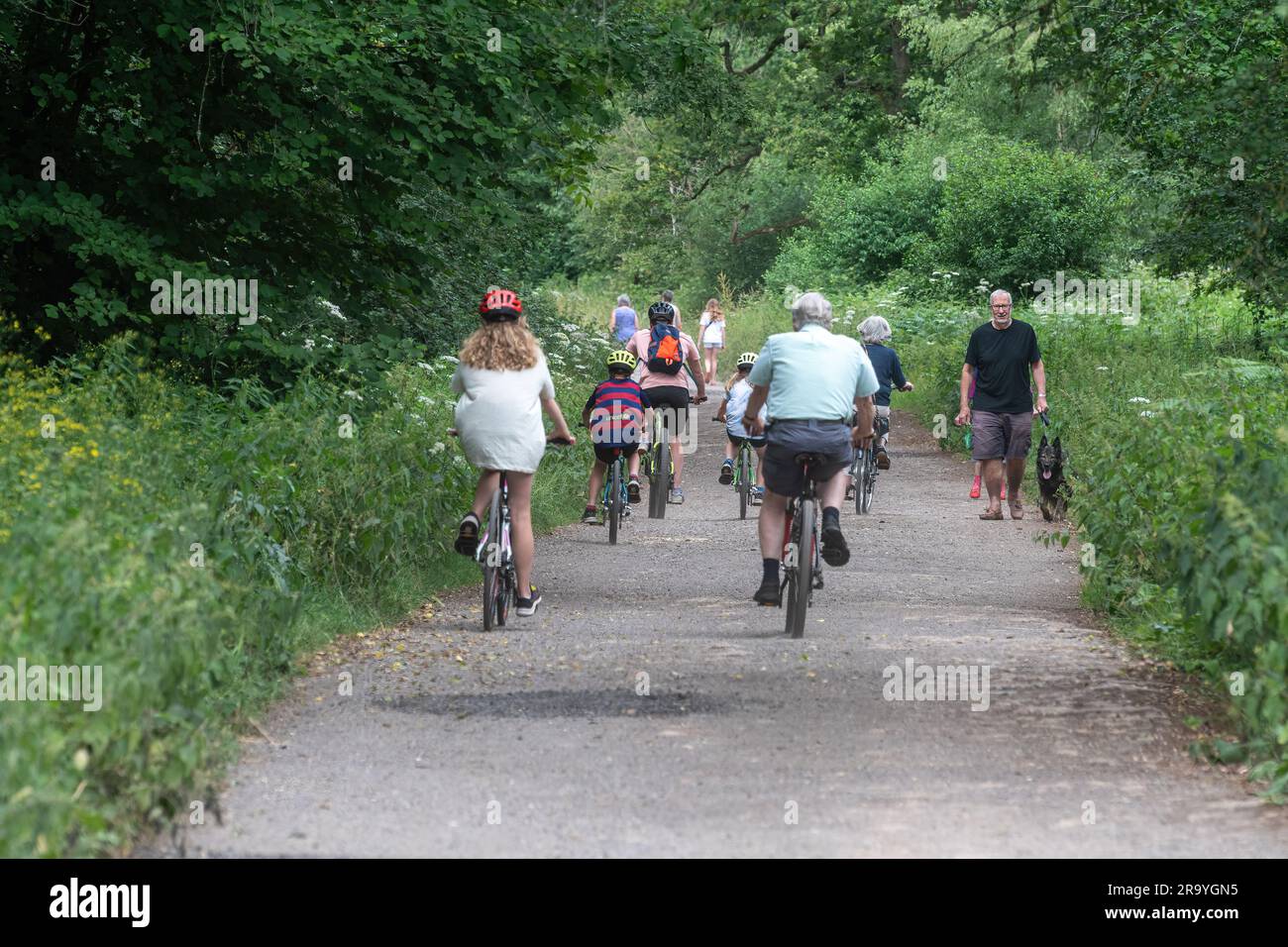 People families walking and cycling on a track through woodland at Great Bookham Common, Surrey, England, UK, on a summer day Stock Photo