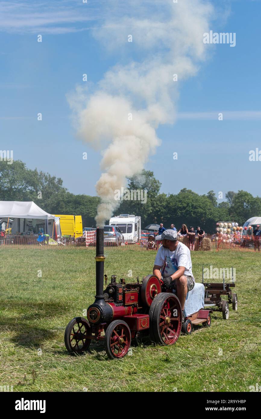 Dene Rally steam and vintage show, 10th anniversary of the rally in June 2023, Hampshire, England, UK. Steam engines in the arena. Stock Photo