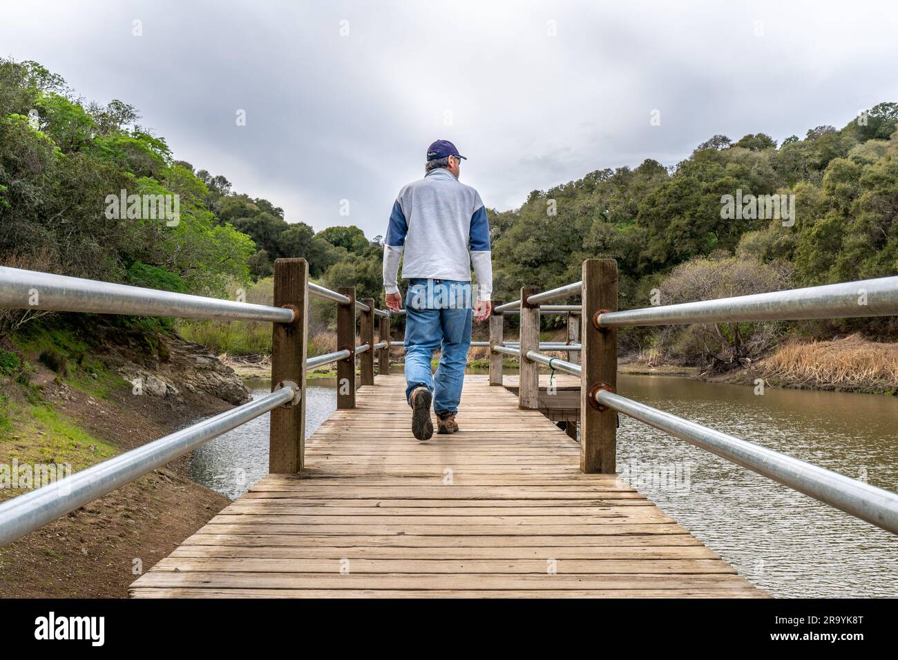 A man, visitor, hiker walking away low on a pier or a wharf over a small lake with tree covered trees on both sides and cloudy sky overhead, Waterdog Stock Photo