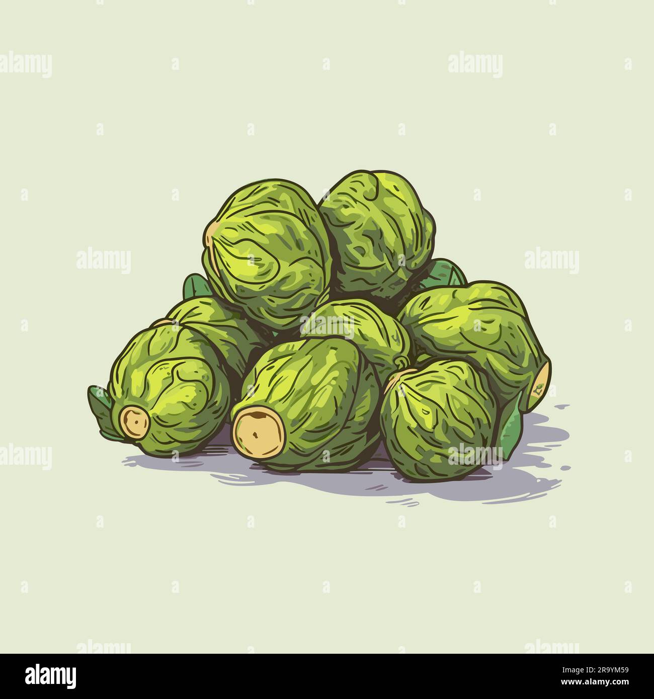 Brussel sprouts. Brussel sprouts handdrawn illustration. Vector doodle