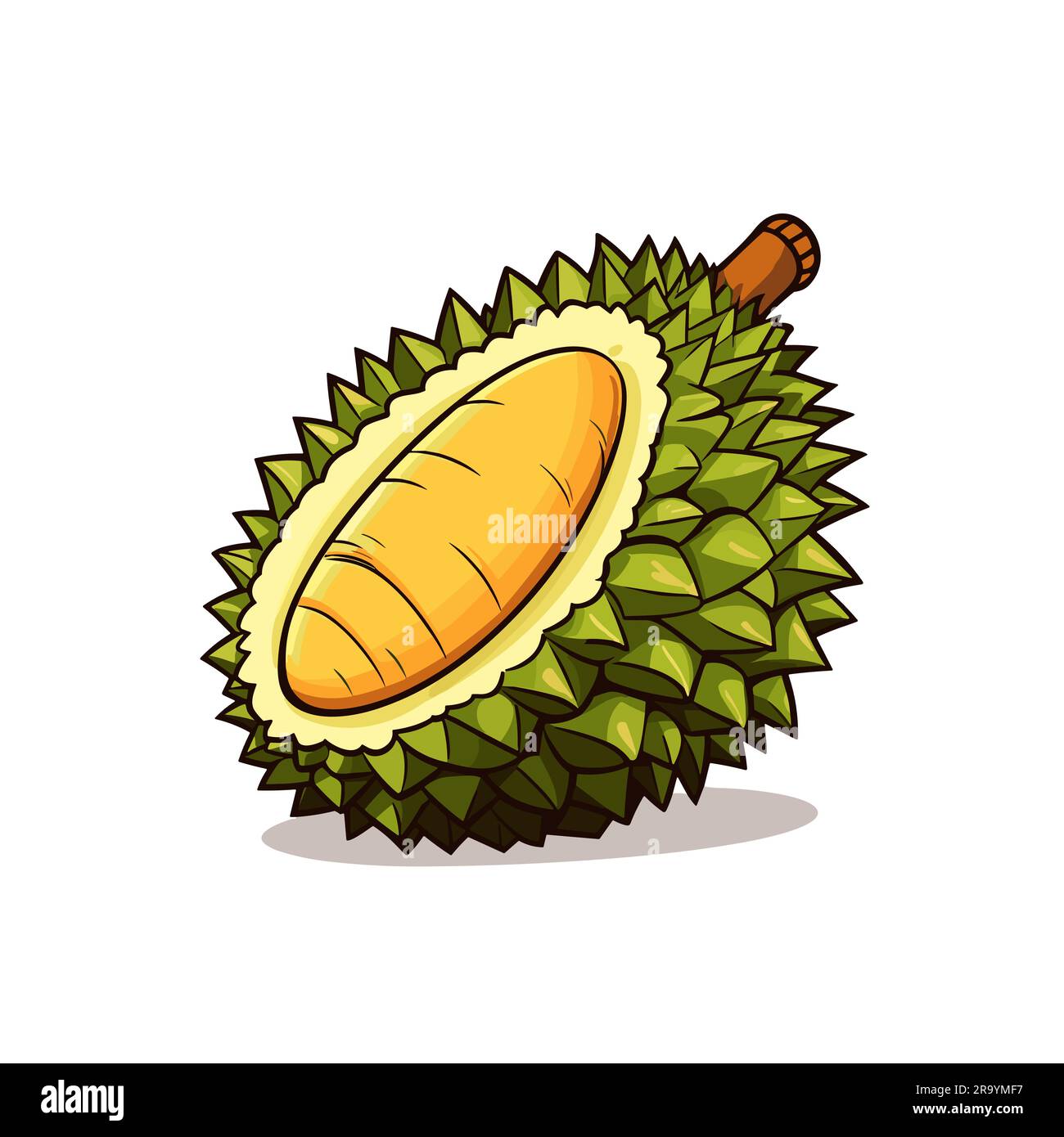 Durian. Durian hand-drawn illustration. Vector doodle style cartoon ...