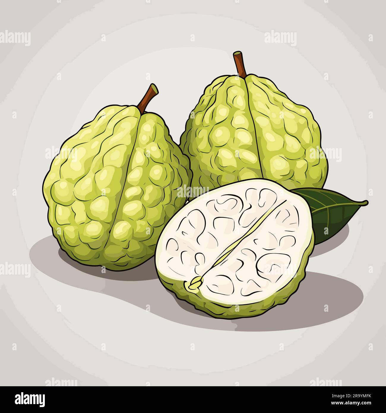 Custard apple. Custard apple handdrawn illustration. Vector doodle