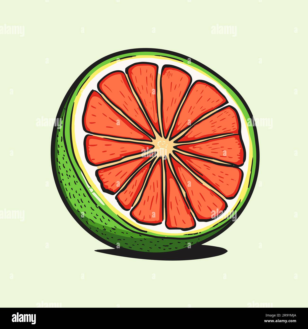 Grapefruit. Grapefruit handdrawn illustration. Vector doodle style