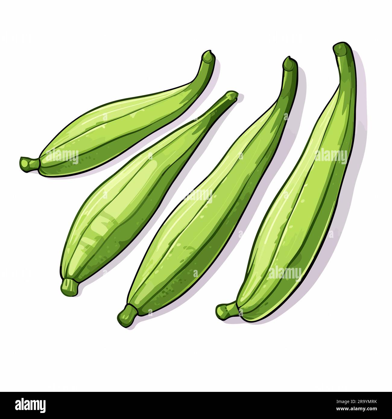 Okra. Okra handdrawn illustration. Vector doodle style cartoon