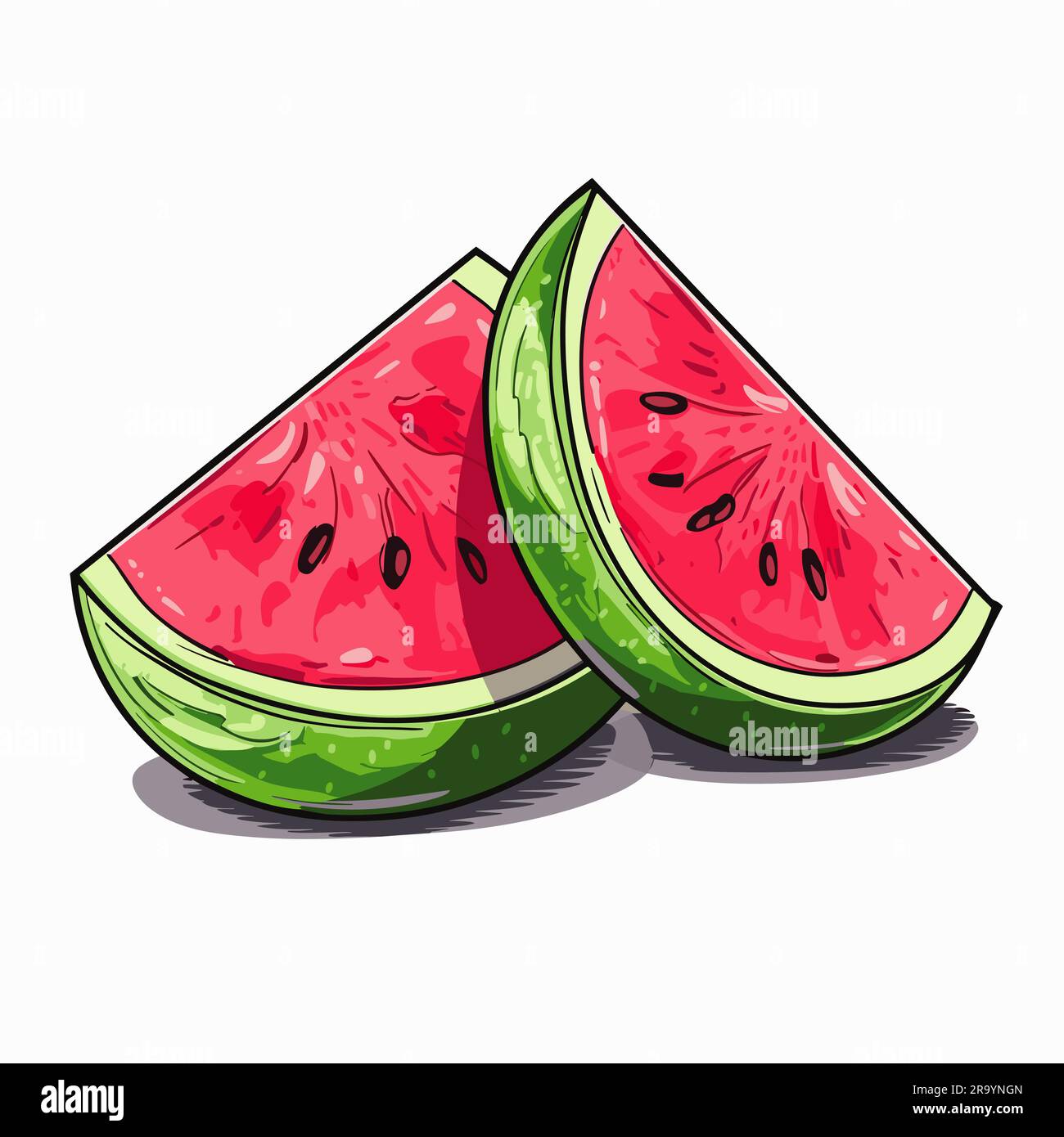 Contour delicious healthy watermelon hi-res stock photography and ...
