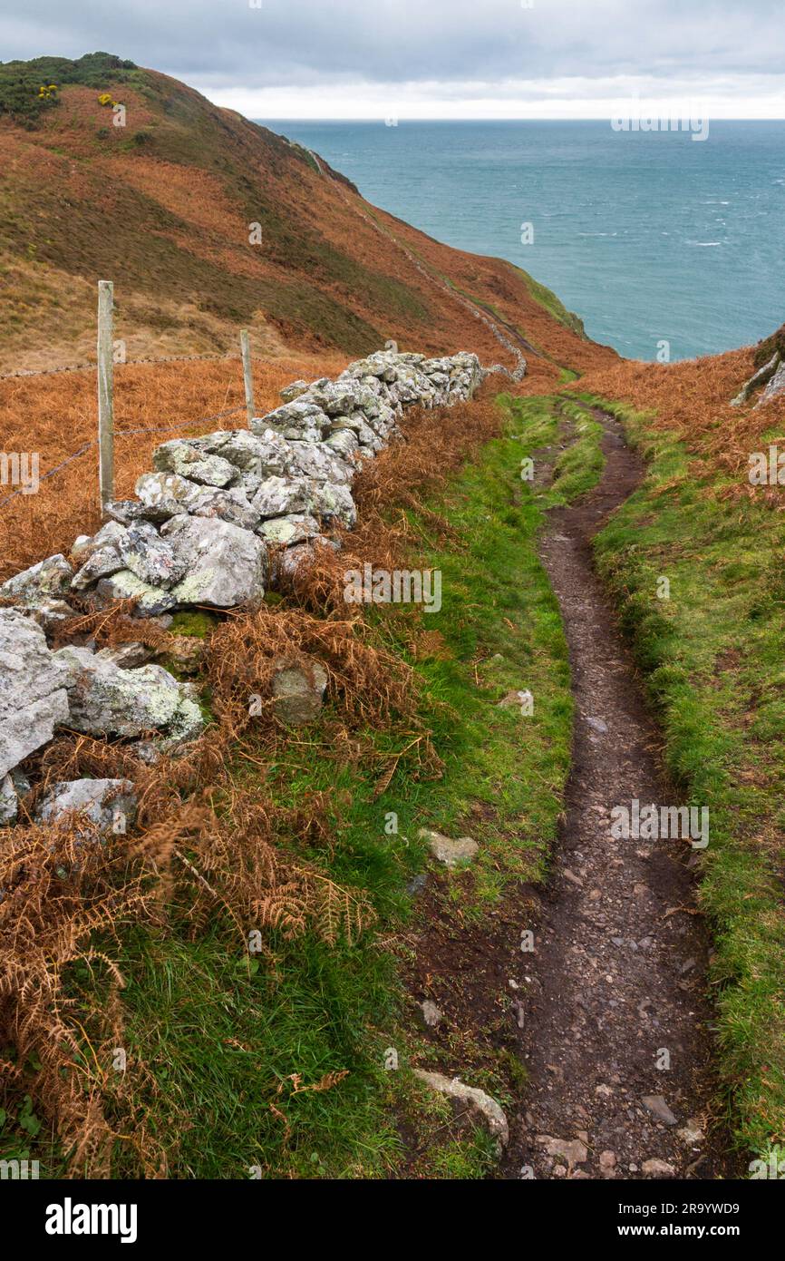 Anglesey North Coastal Path, Wales. Autumn or fall path with remains of dry stone wall, and sea in distance, portrait Stock Photo