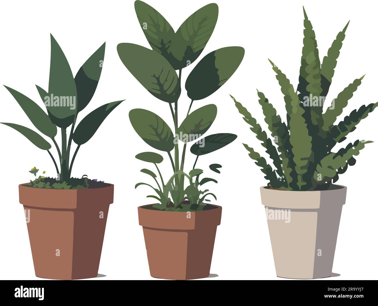Pretty and cuteness plants in flower pot Stock Vector Image & Art - Alamy