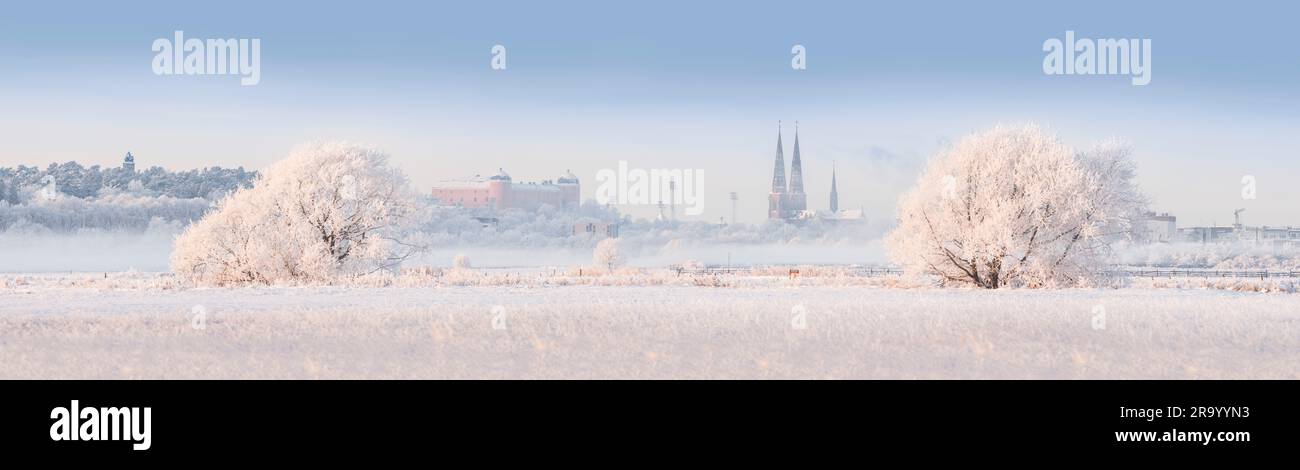 Rural winter view of the city skyline with snow and hoar frost. Uppsala, Sweden. Stock Photo