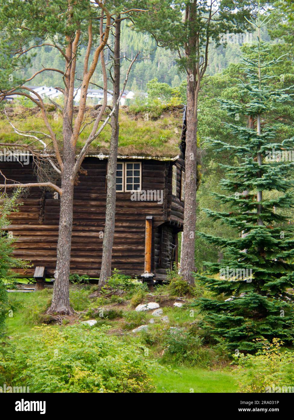A rustic log house stands among green trees in a forest setting. Molde