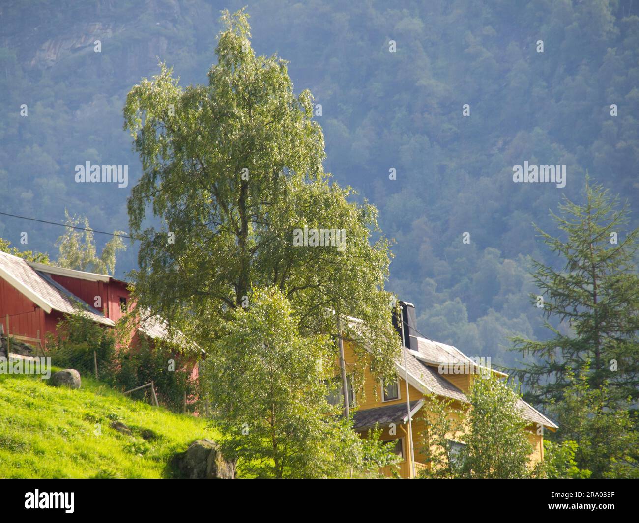 A rural scene featuring green trees and colorful houses. Molde, Norway