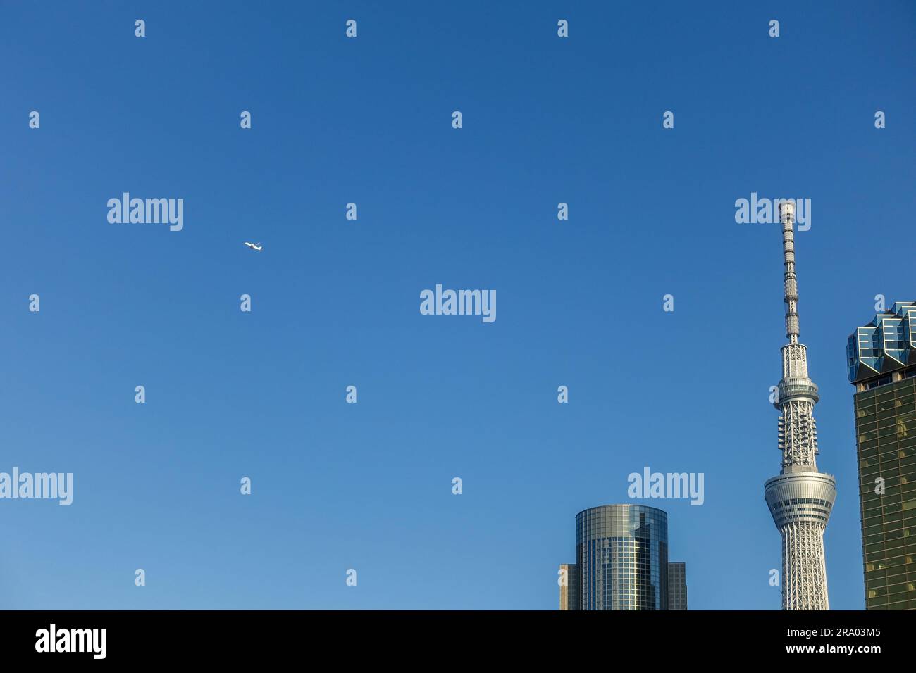 Tokyo Skytree tower (634 meters tall) with blue sky background as negative space, and a plane taking off from Tokyo airport Stock Photo