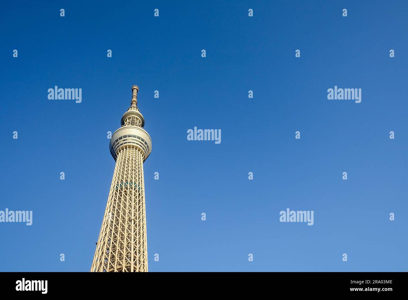 Tokyo Skytree tower (634 meters tall) with blue sky background as negative space Stock Photo