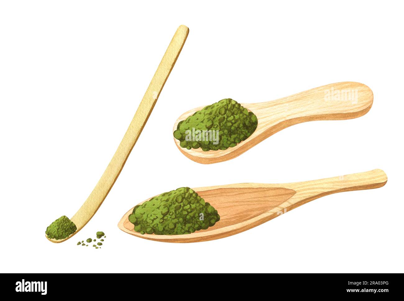 Japanese Bamboo Matcha Spoon For Sale