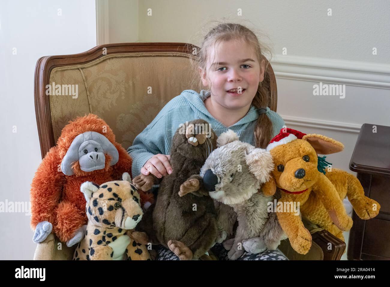 Portrait of a 7 year old girl sitting in an armchair surrounded by stuffed animals  (MR) Stock Photo
