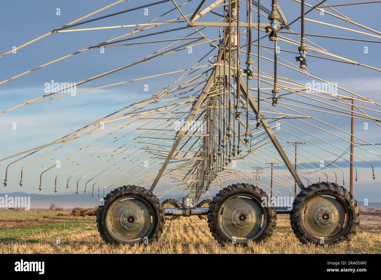 A center-pivot irrigation system in Southern California's Antelope ...