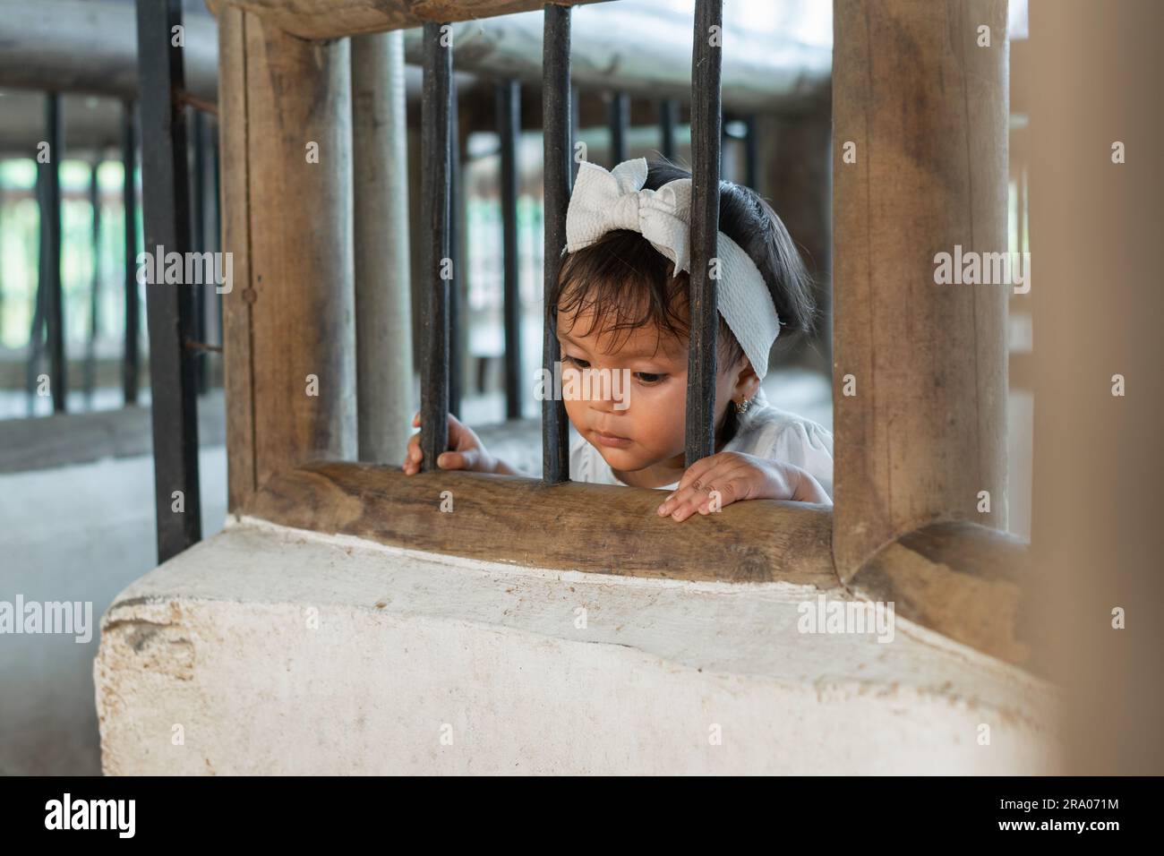 Latina baby looking through the wooden bars of a pen made for raising animals for human consumption Stock Photo