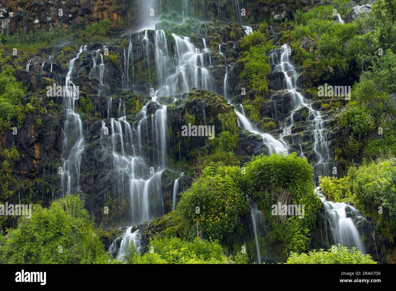 A close up photo of lush waterfalls at Thousand Springs near Hagerman, Idaho. Stock Photo