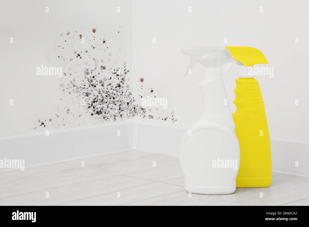 Mold remover spray bottles on floor near affected walls in room Stock Photo