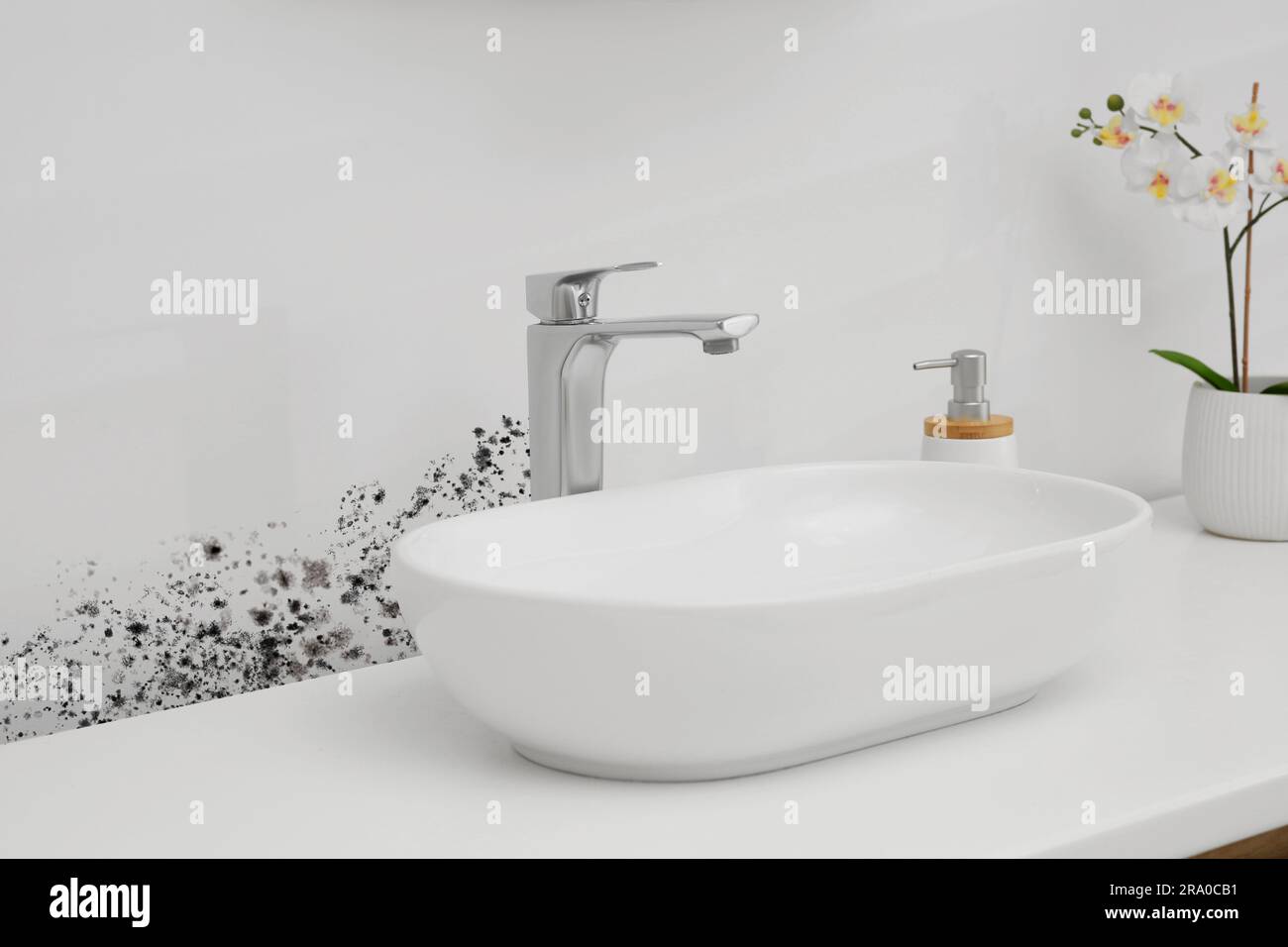 White wall affected with mold. White washbasin, orchid flowers and soap dispenser in bathroom Stock Photo
