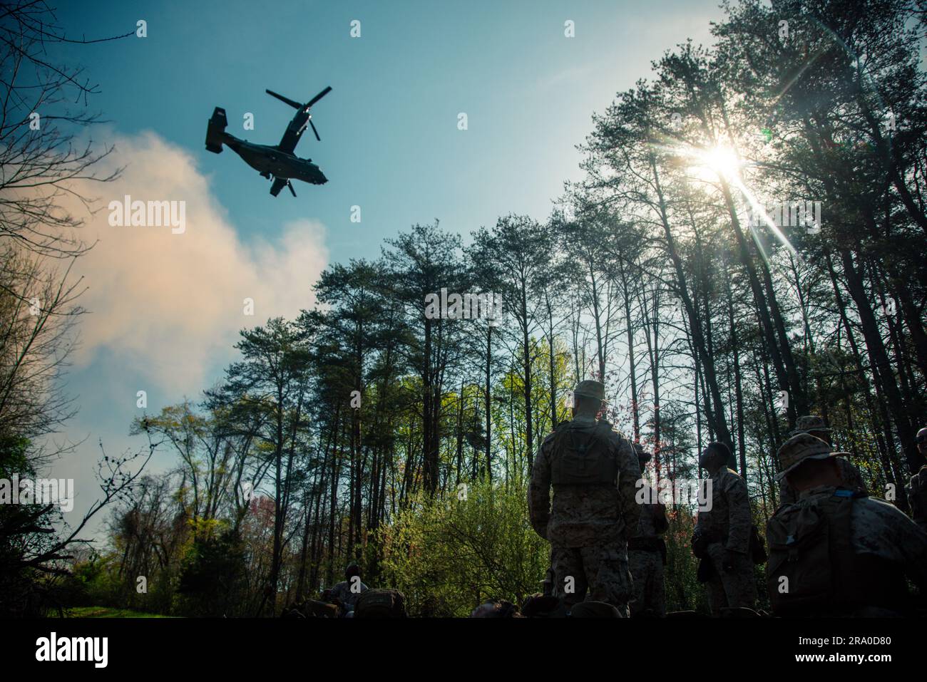 U.S. Marines participate in a field exercise during the Warrant Officer
