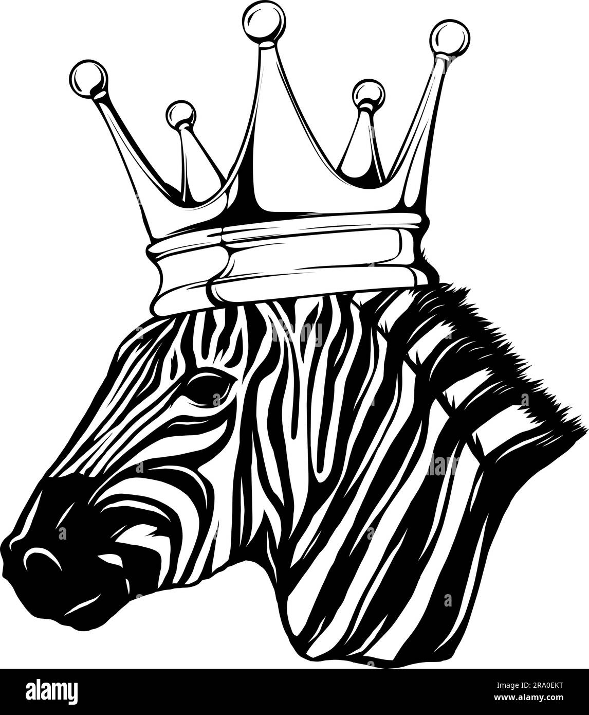 black and white Zebra head on white background Stock Vector Image & Art