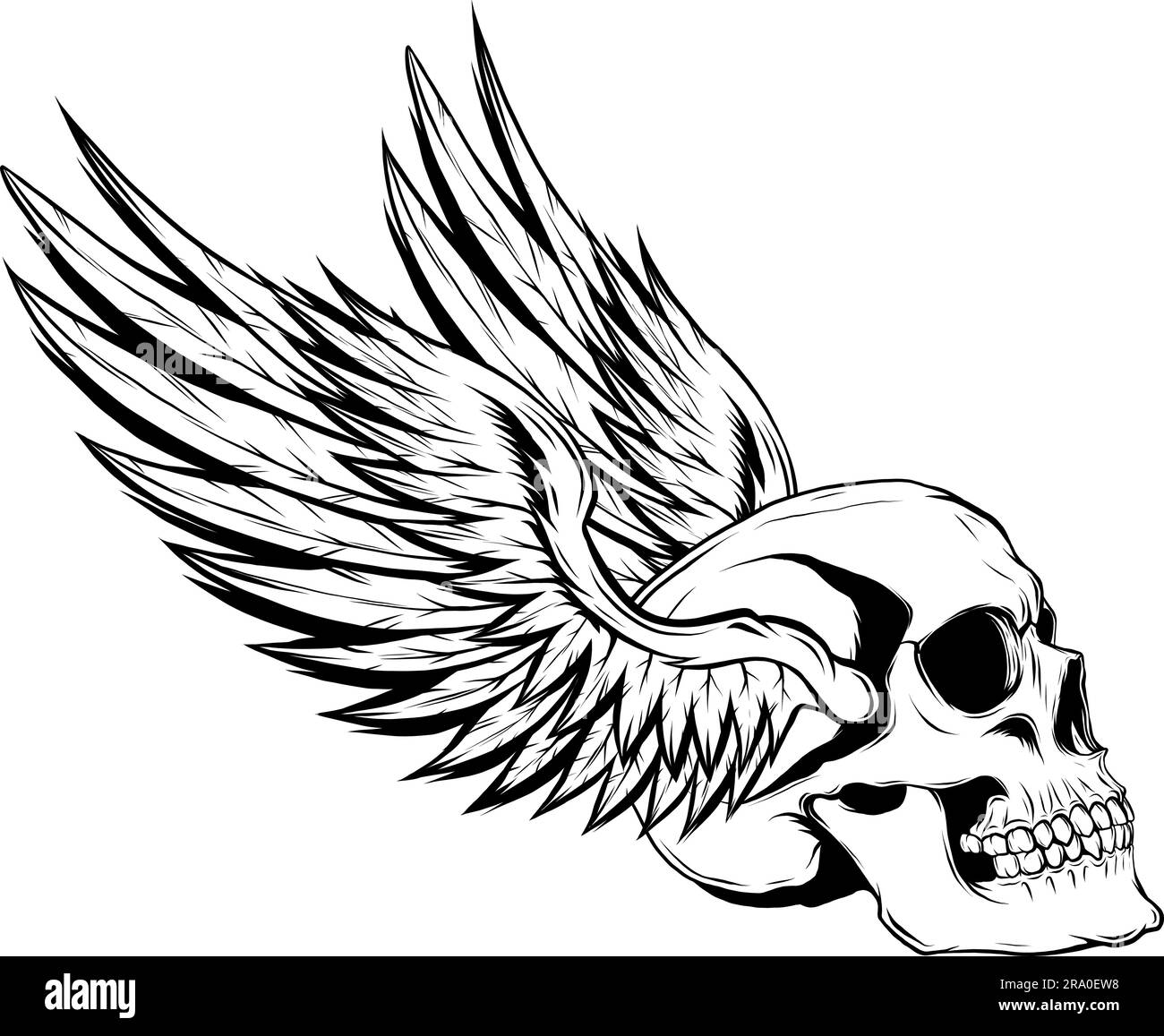 Black and white human skull vector illustration Stock Vector Image ...