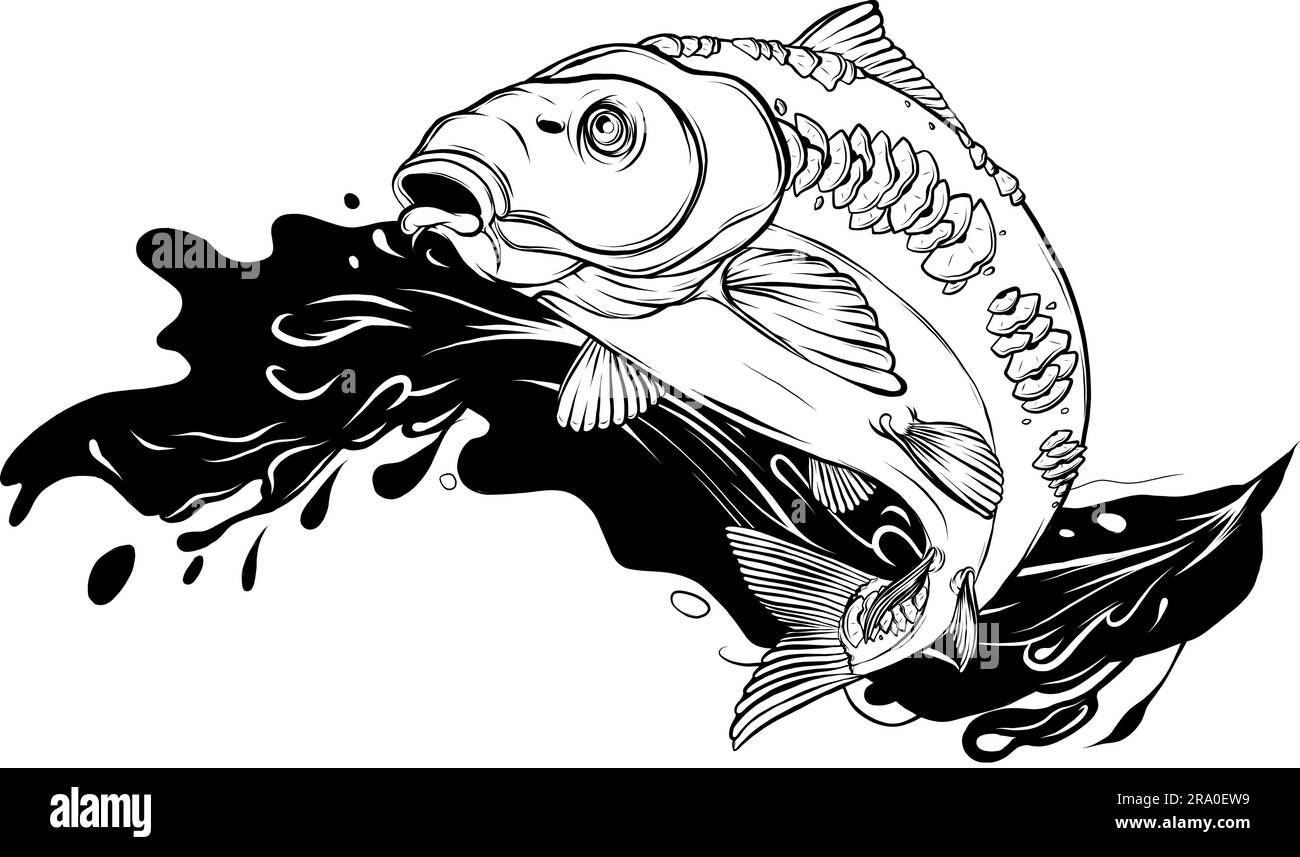 Carp in Black and white. Vector sketch of a fish isolated Stock Vector