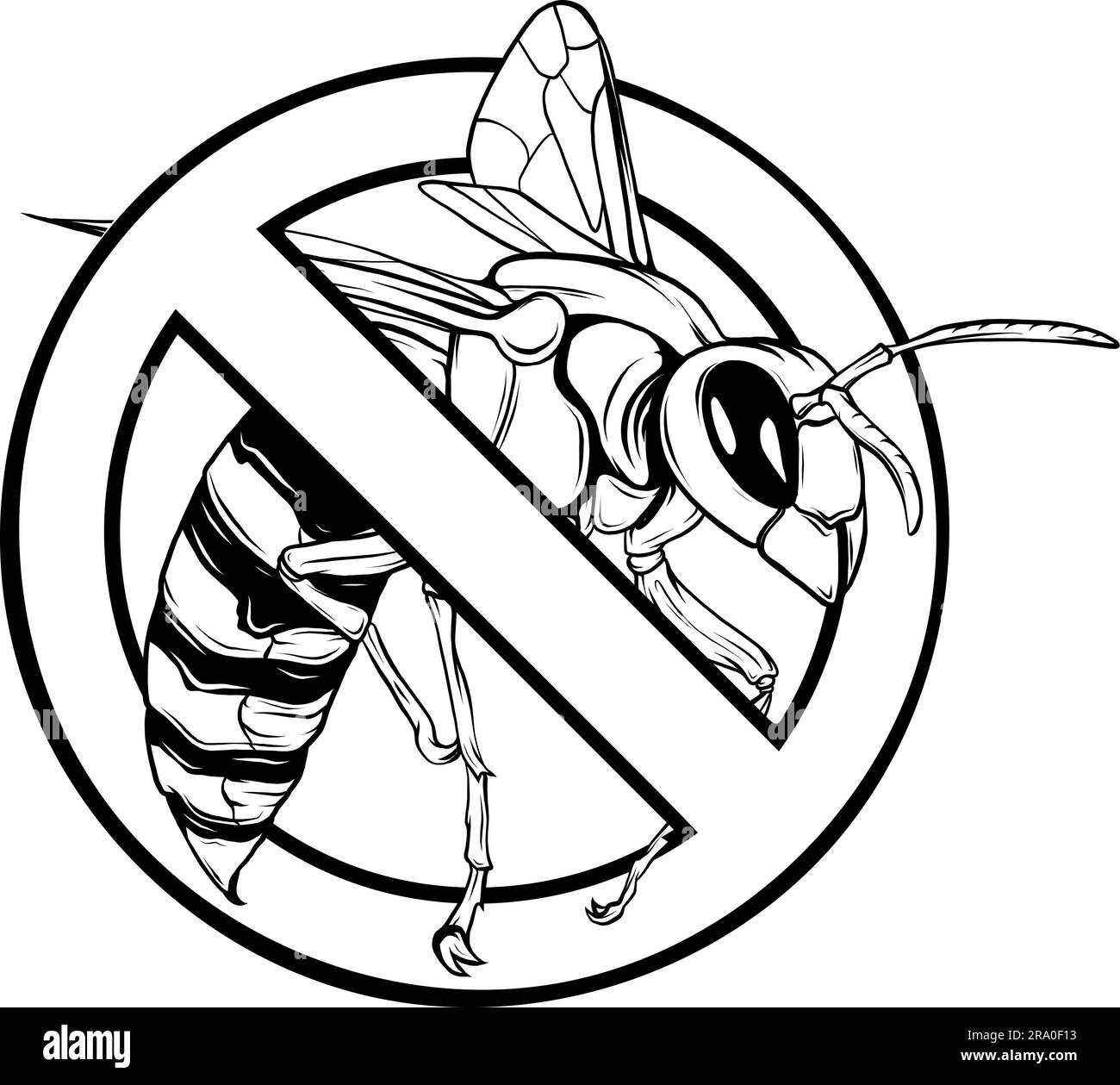 Parasite bee Black and White Stock Photos & Images - Alamy