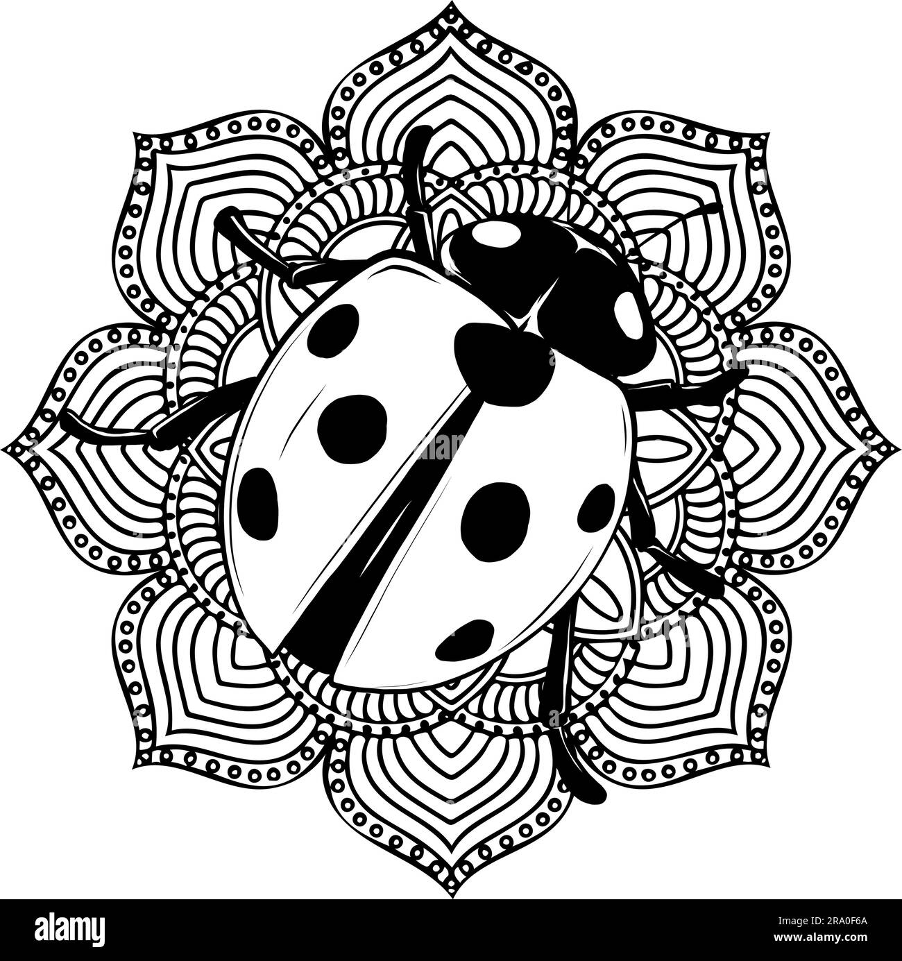 Outlined vector illustration hand drawing of ladybug Stock Vector Image ...