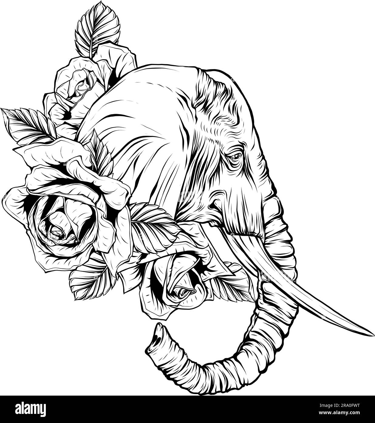 blacka and white illustration of Elephant head Stock Vector Image & Art