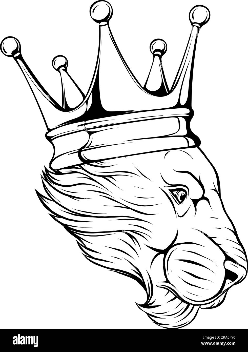 illustration vector of Lion head outline design Stock Vector Image