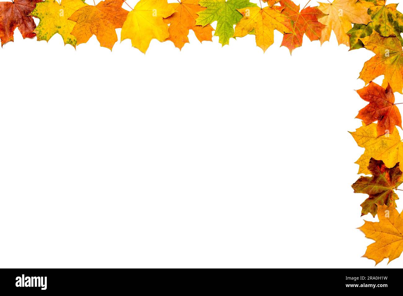 A frame made with autumn leaves isolated on white background Stock ...